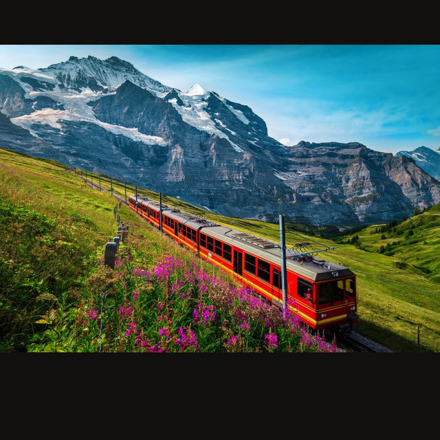 Honeymoon Transportation