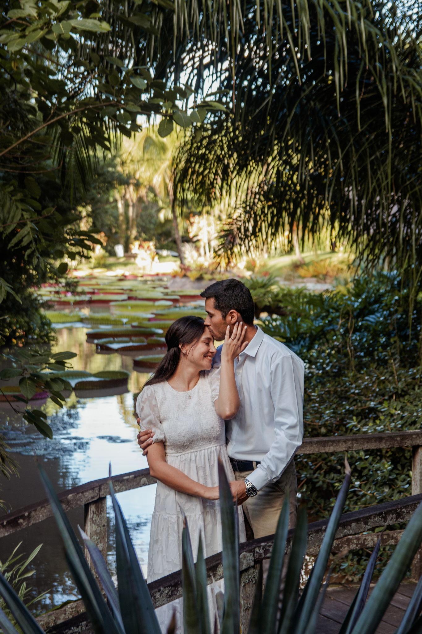 The Wedding Website of Denis Airton Cortez Avalos and Alicia Alvarez Montecinos