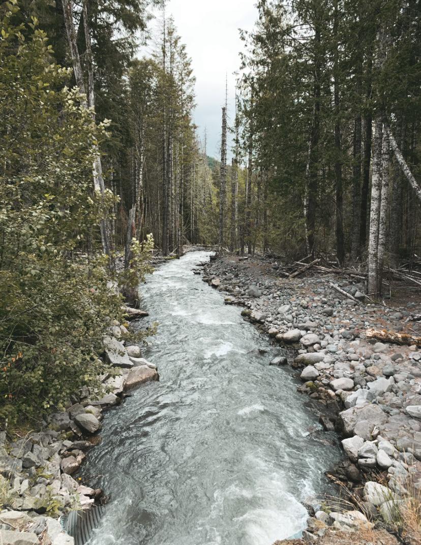 Mt Rainier National Park