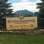 Celestial Seasonings