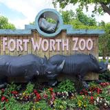 Fort Worth Zoo