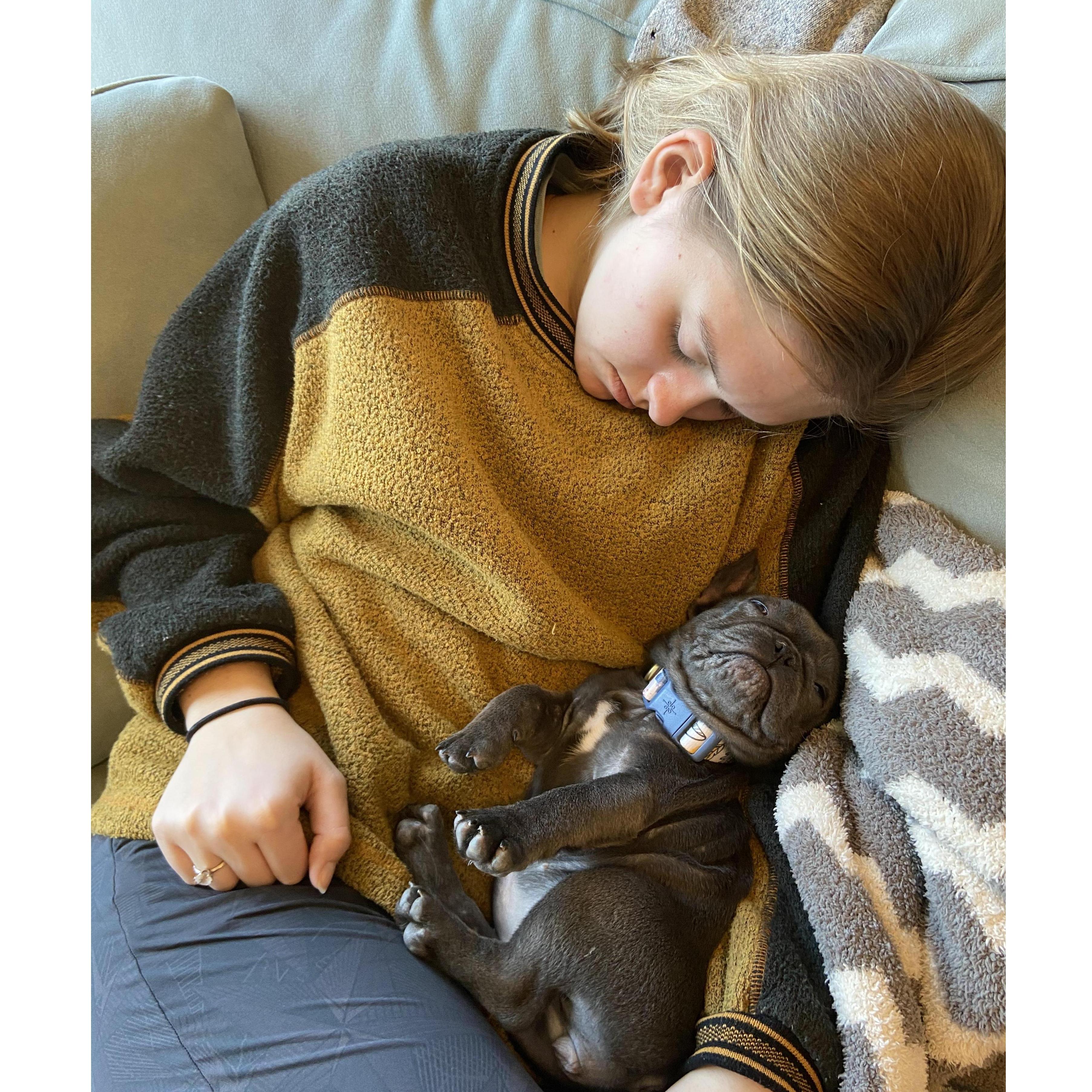 The day we brought our first dog, Scout, home!