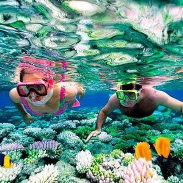Catamaran / Party Boat Cruise + Snorkeling
