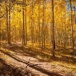 Kenosha Pass