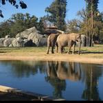 Fresno Chaffee Zoo