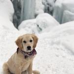Ousel Falls Hike