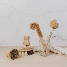 ZWS Essentials Zero Waste Dish Brush Kit