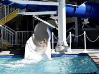 The Aquatic Center at Mylan Park