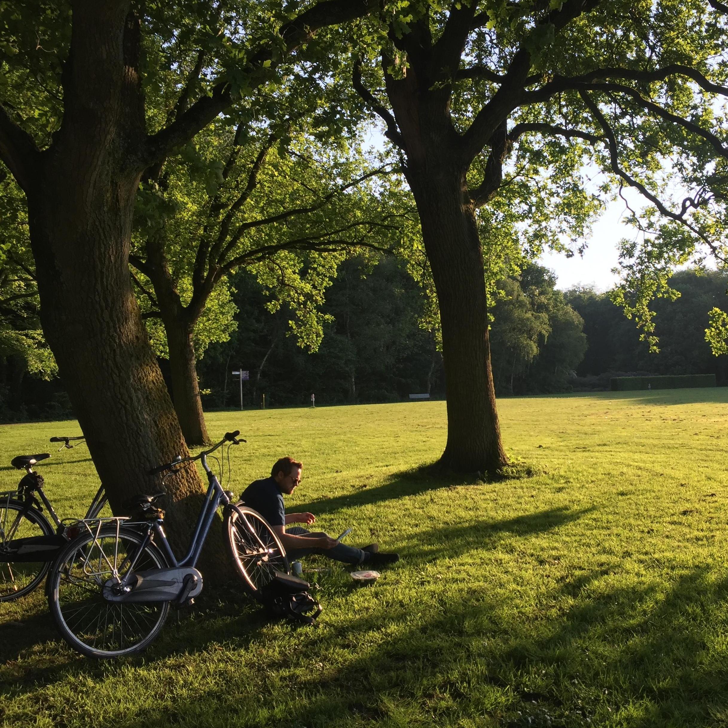 Amsterdamse Bos
