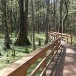 Caw Caw Interpretive Center