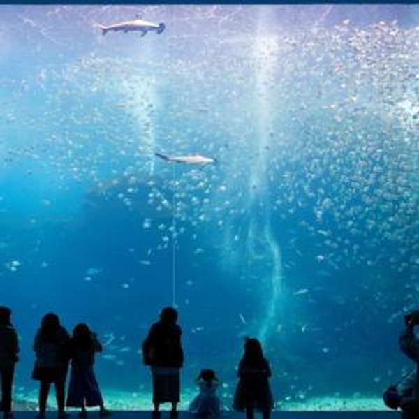 Aquarium Fund