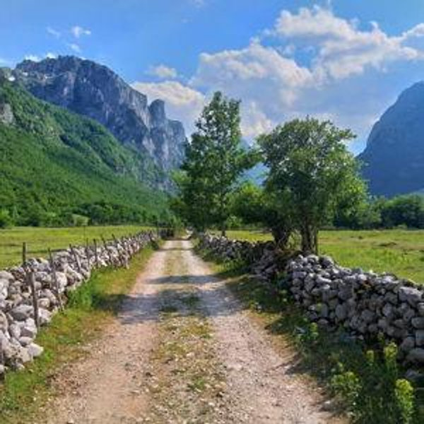 Albania fund