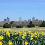 Dorothea Dix Park