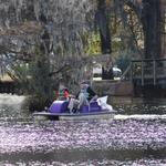 Greenfield Lake