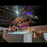 Houston Museum of Natural Science