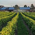 Newport Vineyards & Restaurant