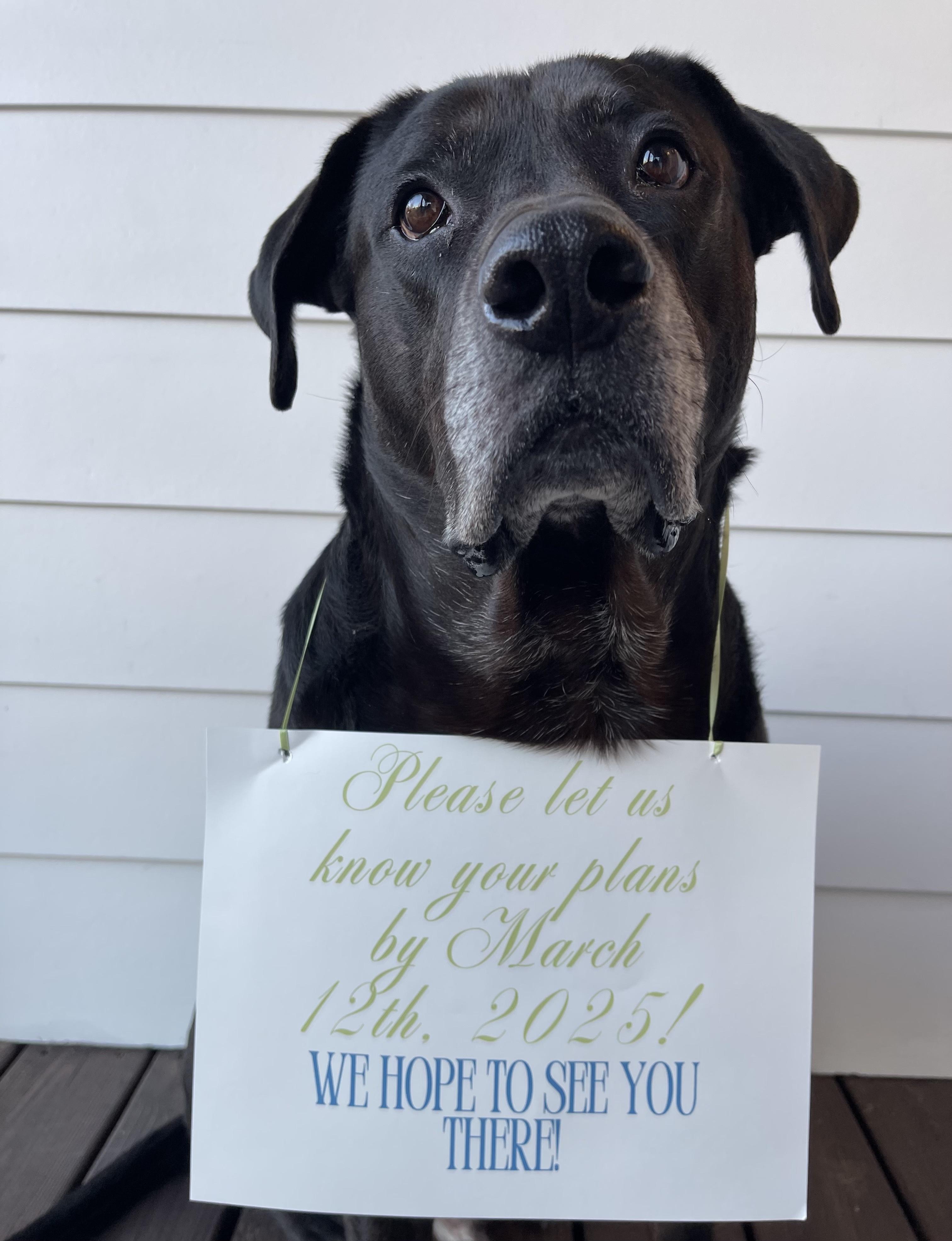 The Wedding Website of Carly Wilson and Jacob Goulding
