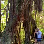 Hawaii Tropical Botanical Garden