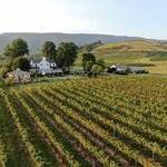 Veritas Vineyards and Winery