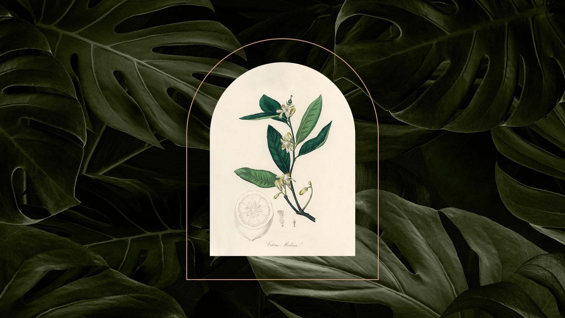The Wedding Website of Devania Armogam and Tiaan Joubert