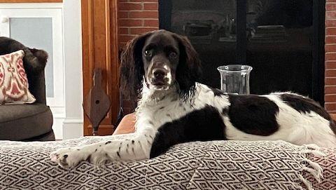 534c1541-2632-4a2c-a9b5-32bd9e1bca67