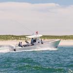 Down Cape Charters & Boat Rentals