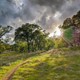 Bidwell Park