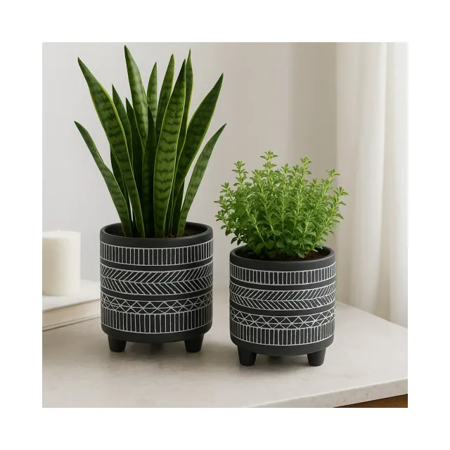 Modern Footed Planters for Home Decor - Decorative Plant Pots for Living Room, Patio Accent, or Plant Stand Indoor - Set of 2, 8", 6", Black & White