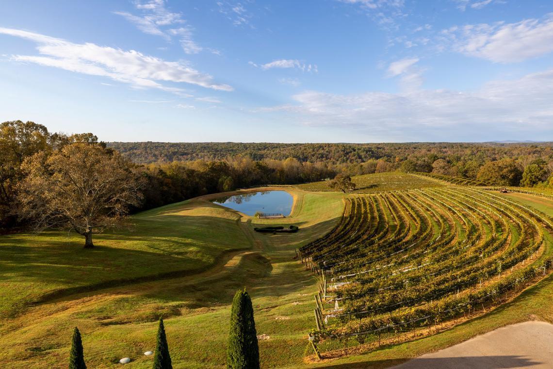 The Wedding Website of Alyssa harrell and Michael harrell