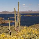 Lake Pleasant