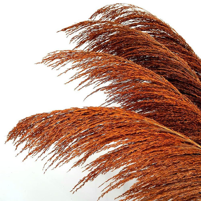 penepico Pampas Grass Decor Tall,Long Pampas, Large Pompas Floral, Elegant Feather Flowers for Wedding Decorations, Living Room Decor (Natural Orange, 8pcs 31.5"(80cm))