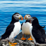 Cap'n Fish's Cruises - A Variety of Boat Tours, Whale Watches, Nature Cruises