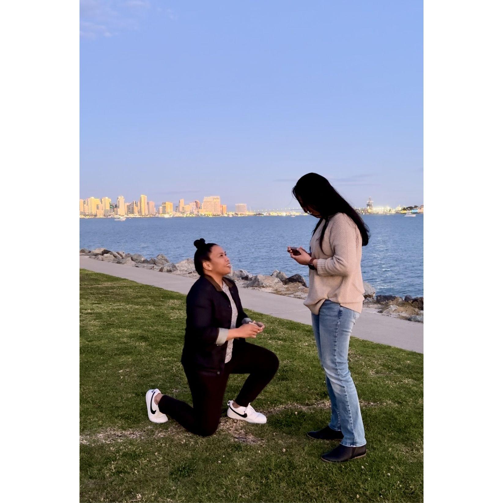 The real proposal.