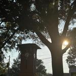 Hernando Farmers Market