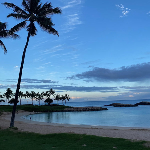 Honeymoon in Hawaii!