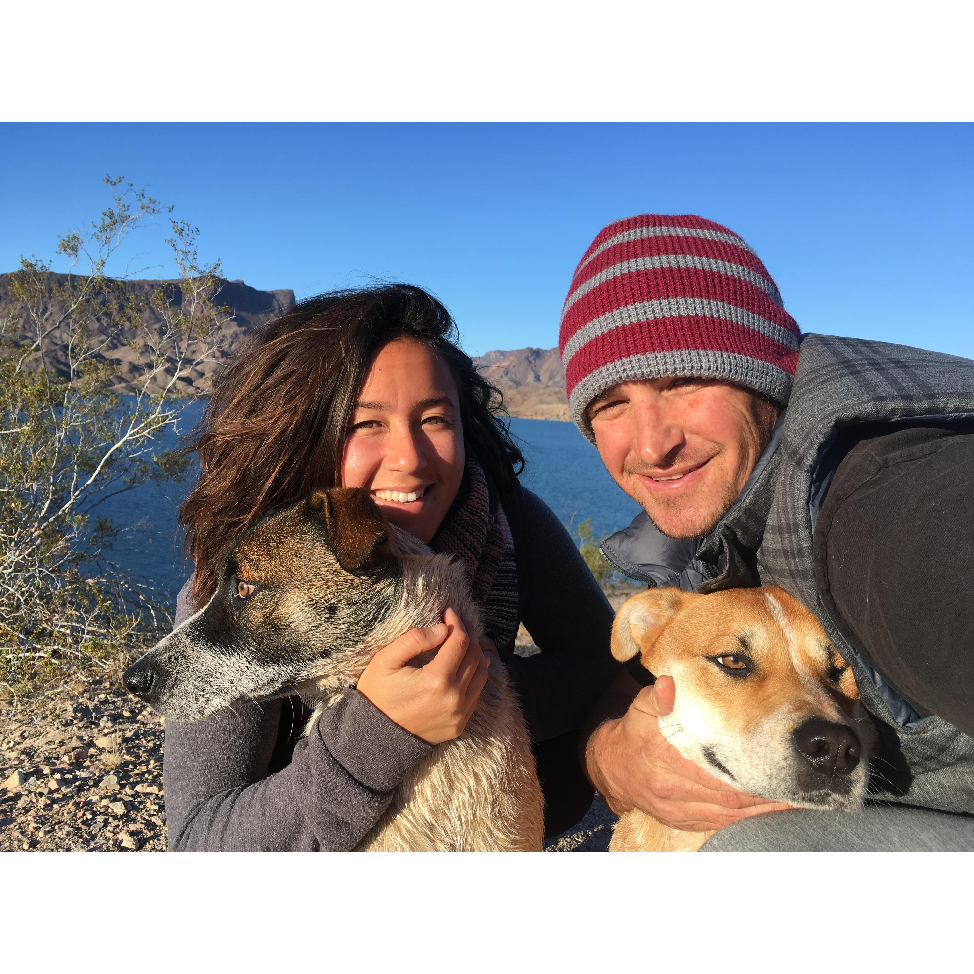 Winter morning on Lake Havasu