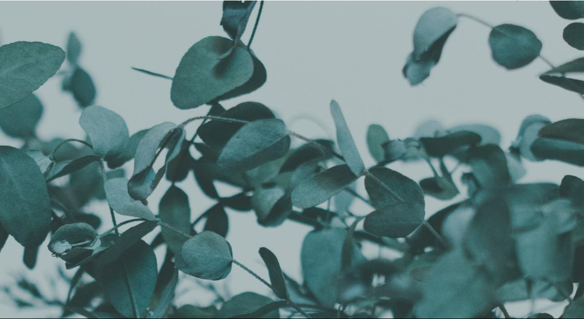 Footer image