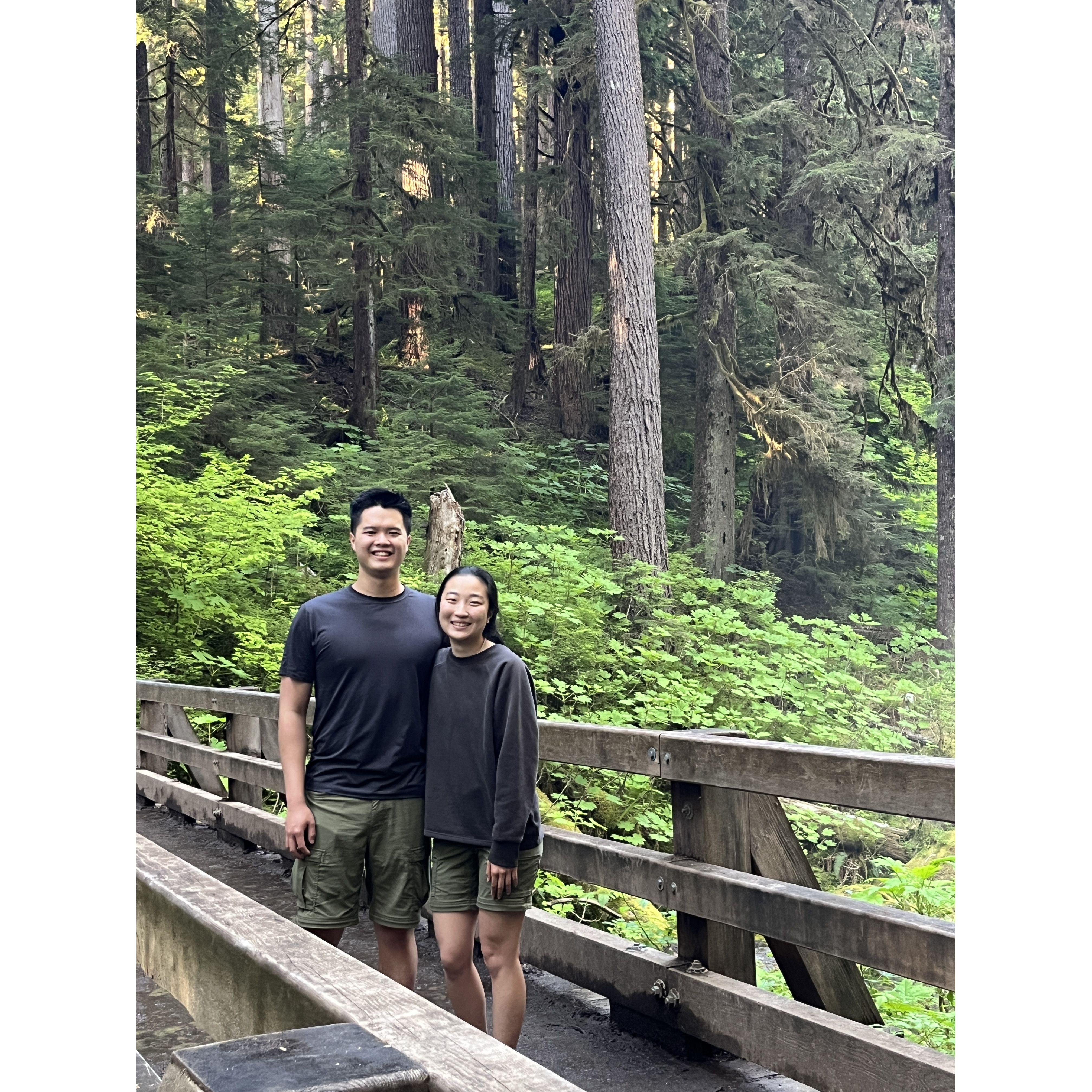 More Olympic National Park
