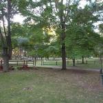Carson Park