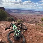Mountain Biking Favorites