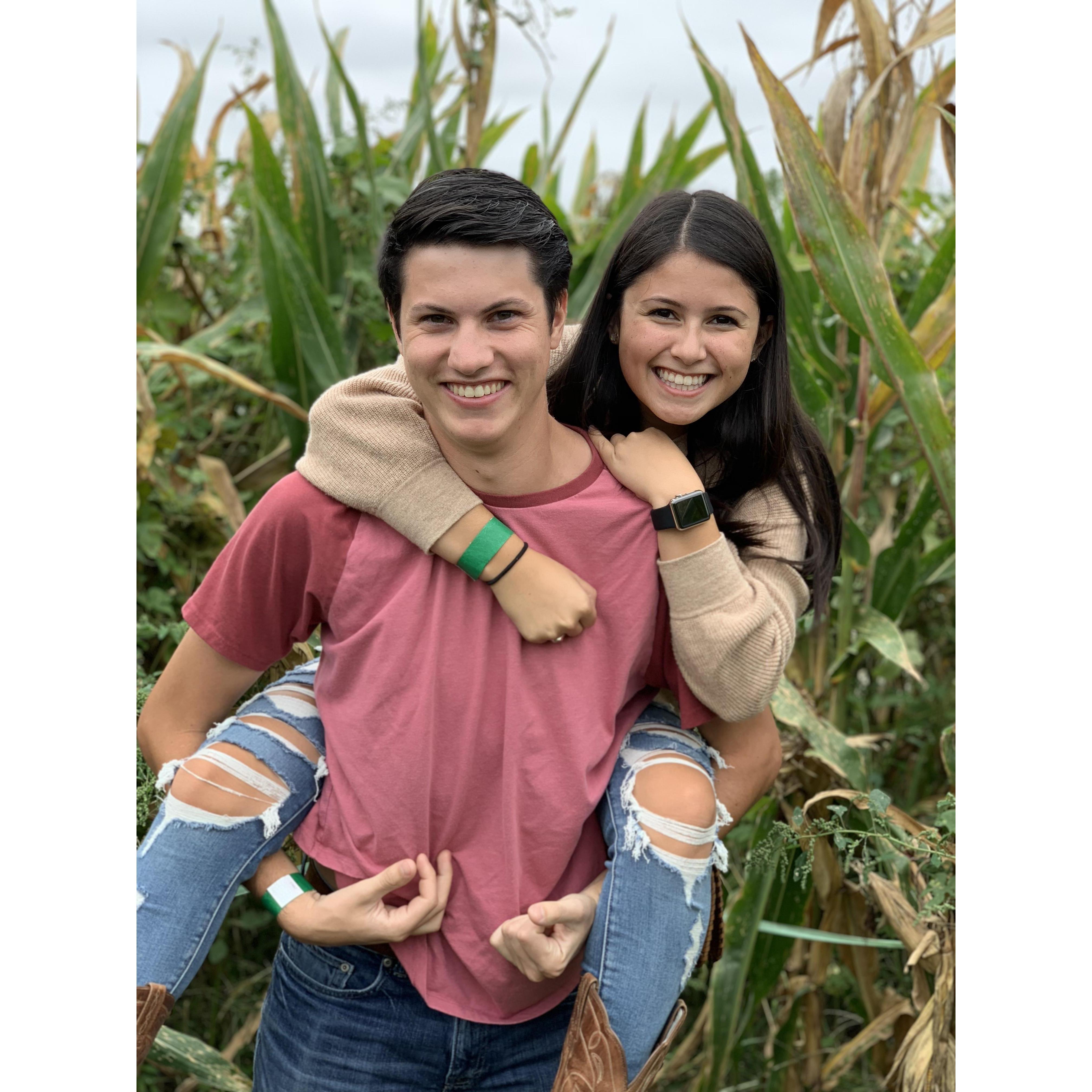 Corn Maze 2018