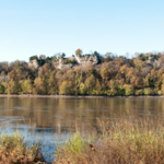 Eagle Bluffs