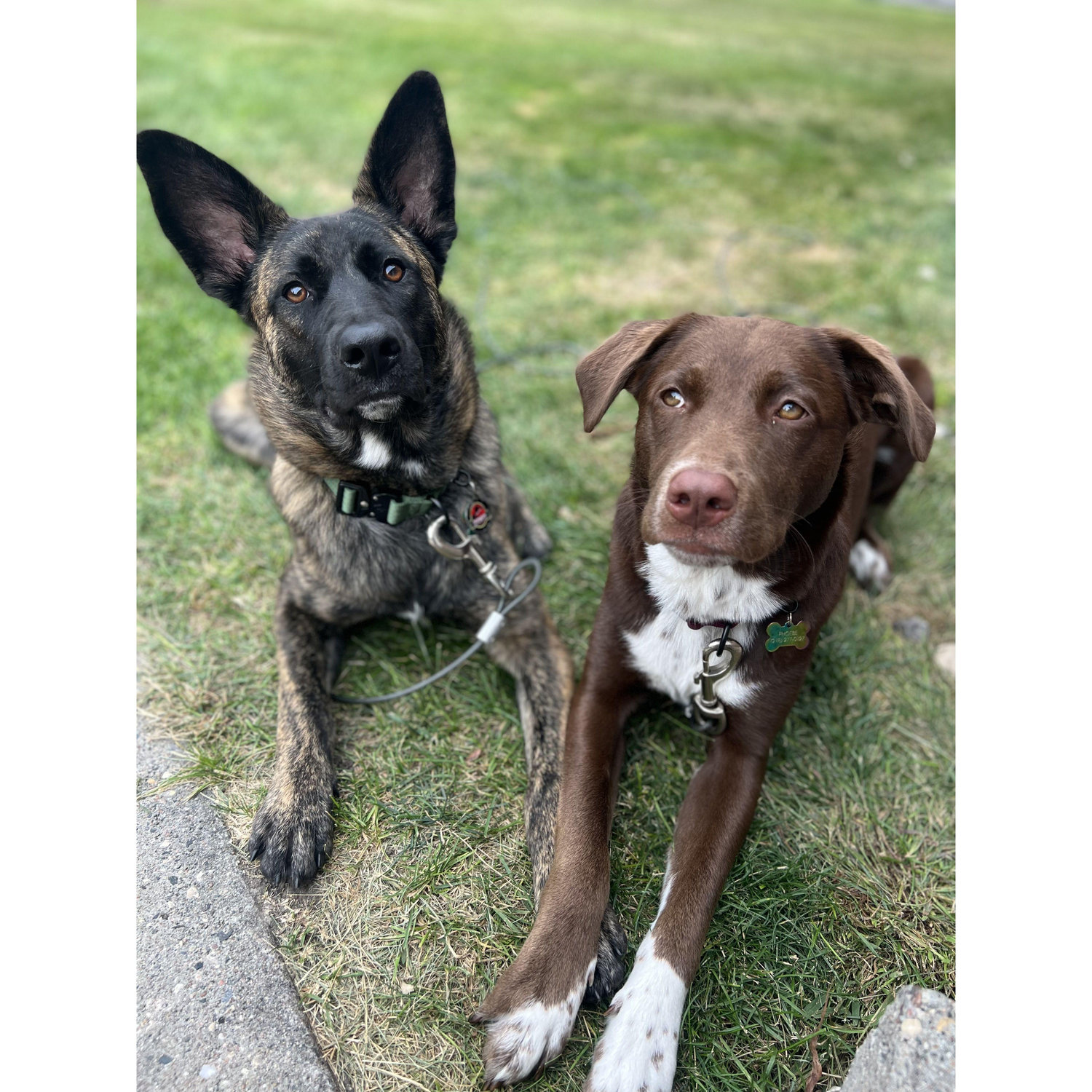 Echo and Phoebe 2023