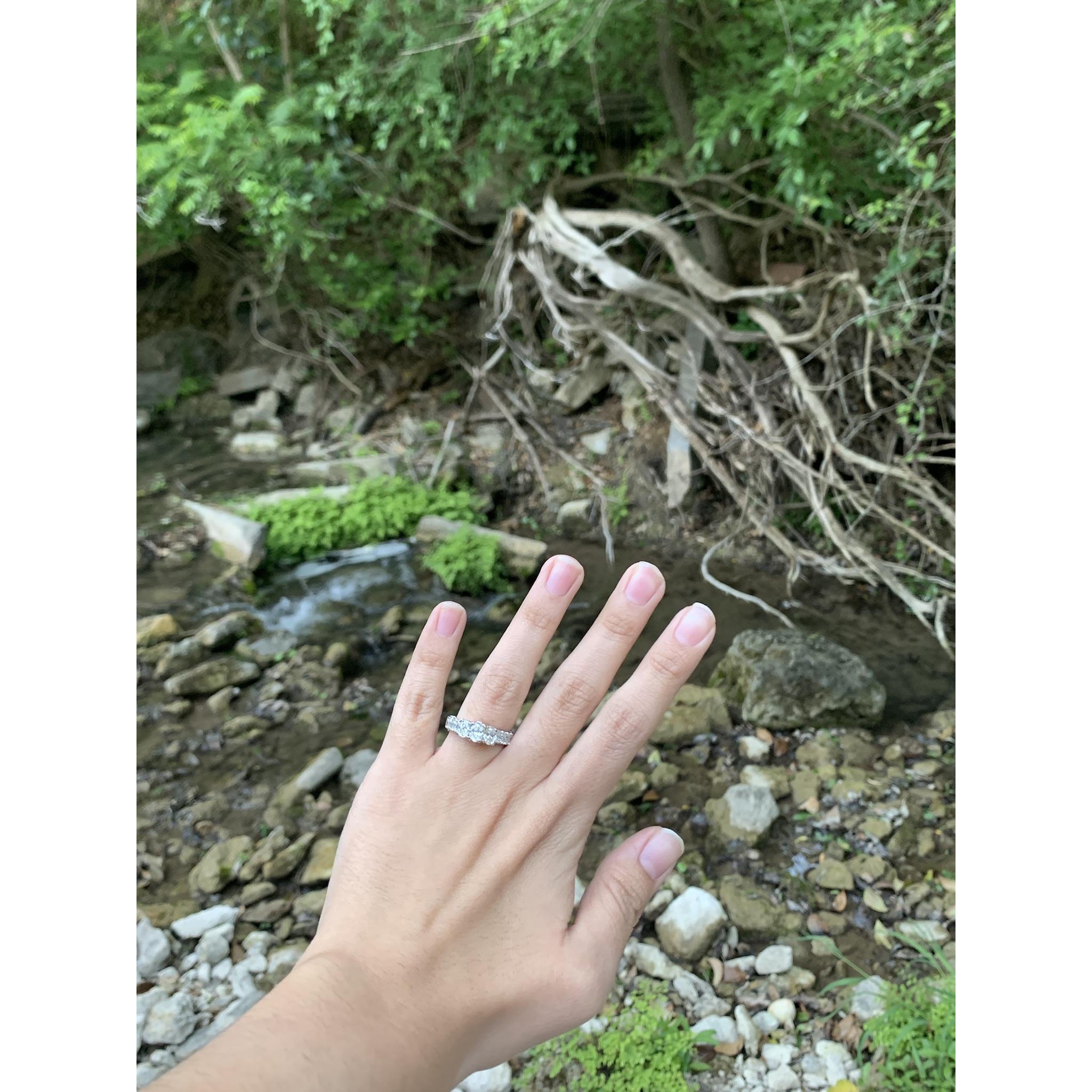 On April 20th 2019, while hiking in Boerne, Danny popped the question!