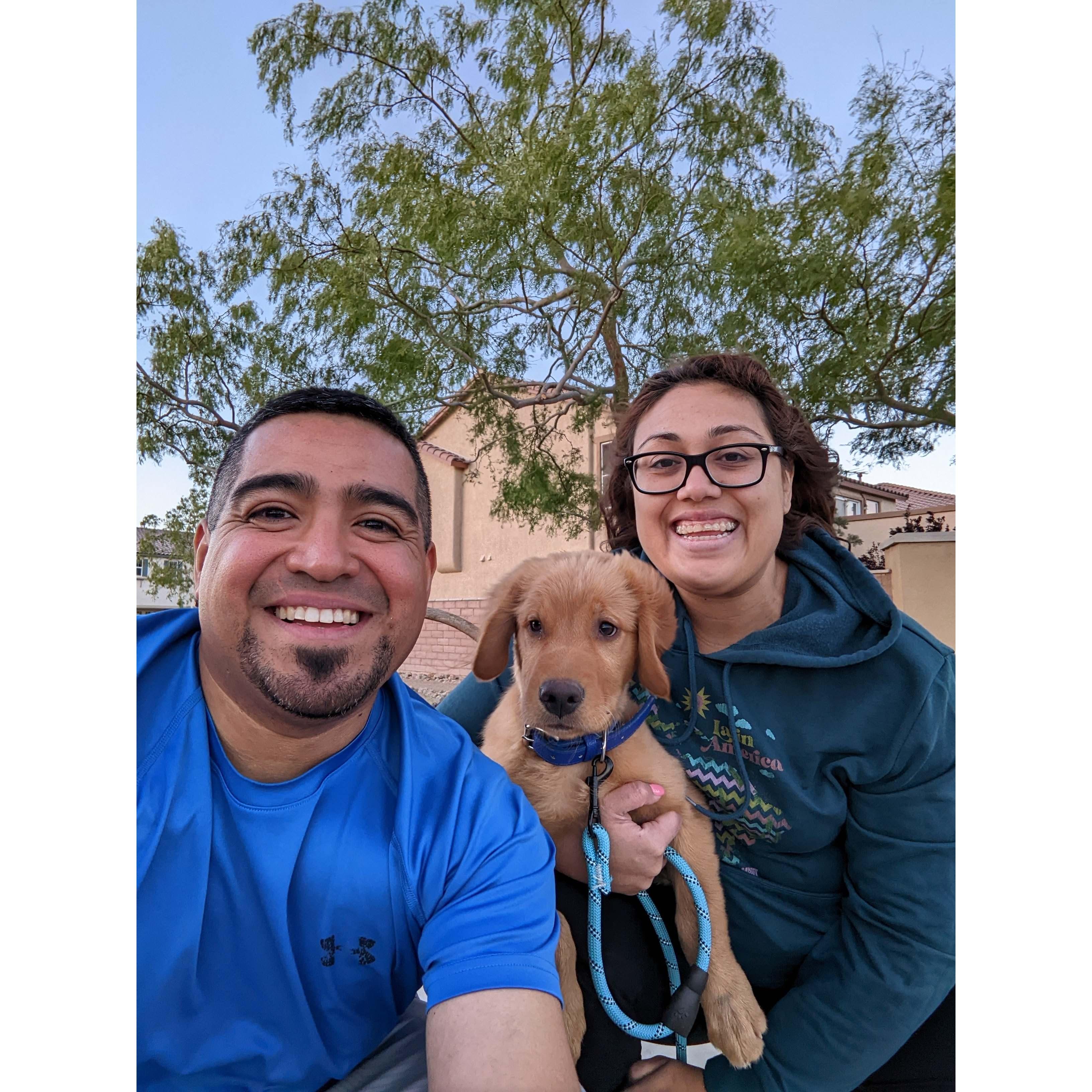 Newest addition to the family. April, 2022