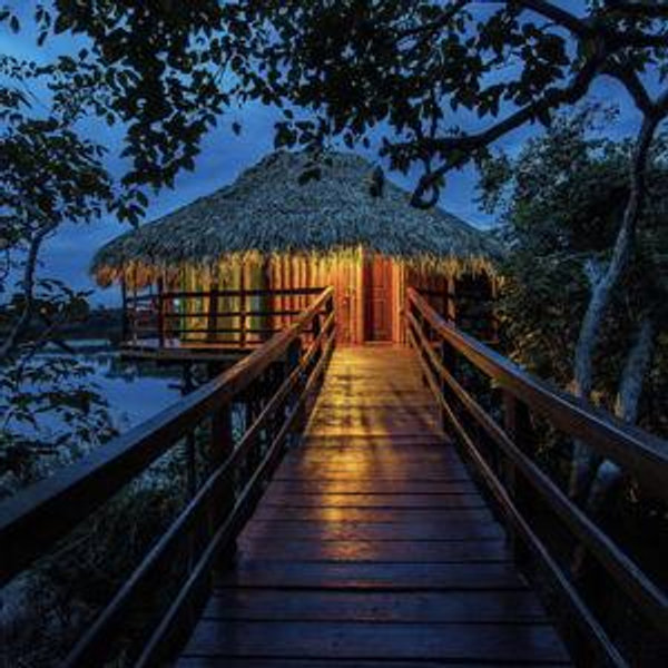 Honeymoon to Brazil