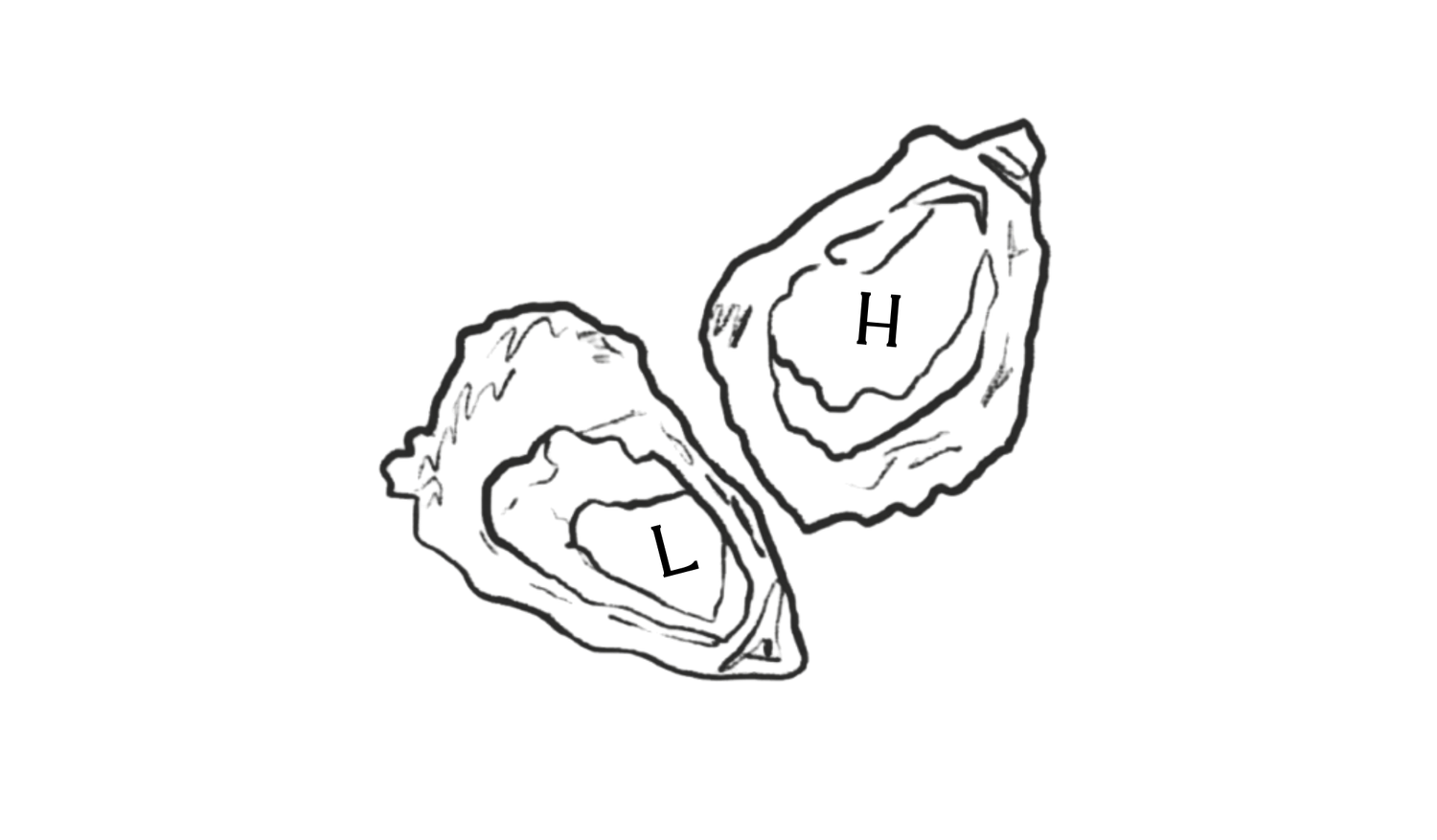 Footer image