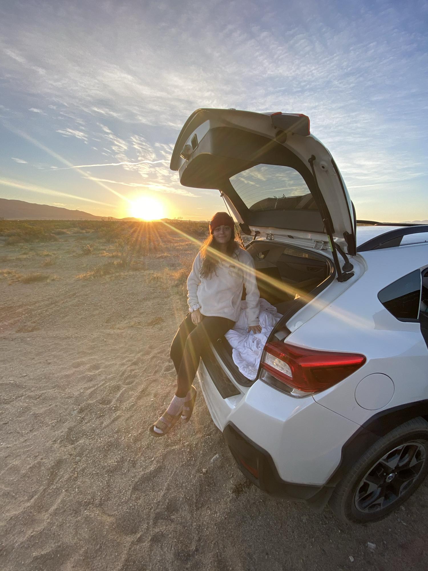 2019: Camping in the desert in Anza Borego