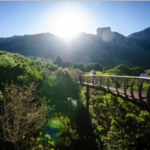 Kirstenbosch National Botanical Garden