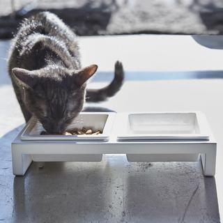 Tower Small Pet Food Bowl with Short Stand